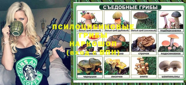 соль ск Елизово
