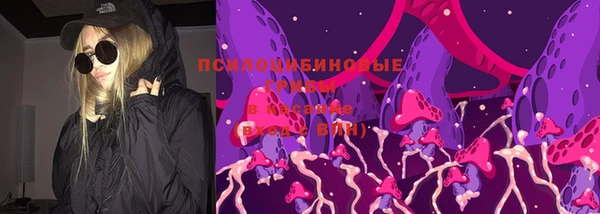 соль ск Елизово