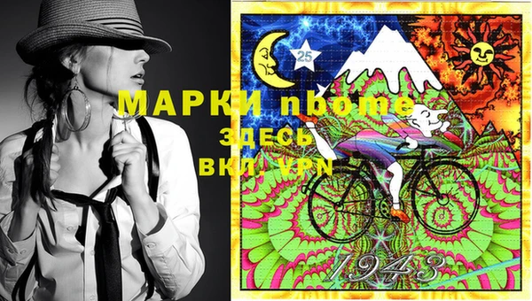 ГАЛЛЮЦИНОГЕННЫЕ ГРИБЫ Дмитриев