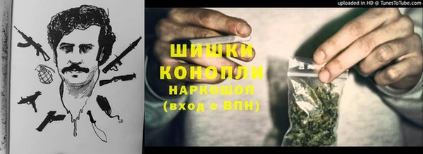 соль ск Елизово