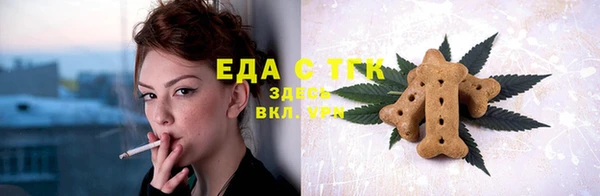 spice Ельня