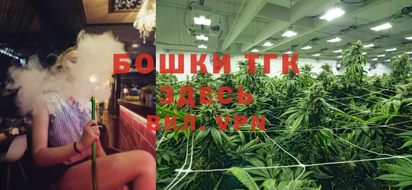 соль ск Елизово