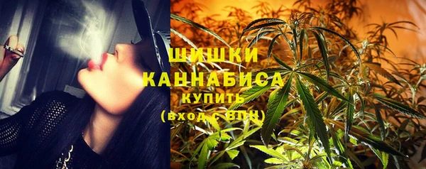СК Дмитровск
