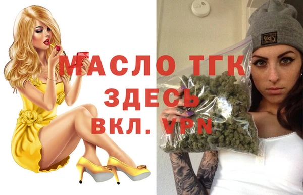 spice Ельня