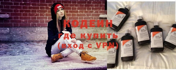 ГАЛЛЮЦИНОГЕННЫЕ ГРИБЫ Дмитриев