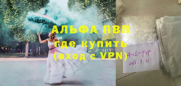 spice Ельня
