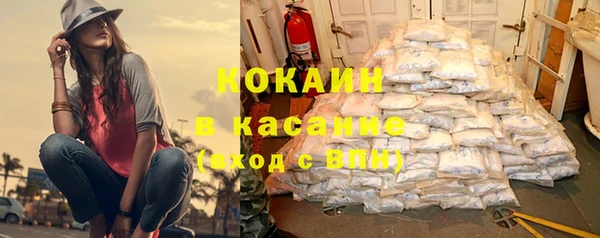 spice Ельня