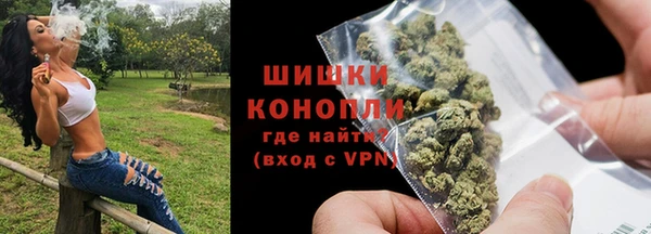 spice Ельня